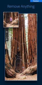 Adobe Lightroom Mod APK [Premium Unlocked, Ads Free] 1