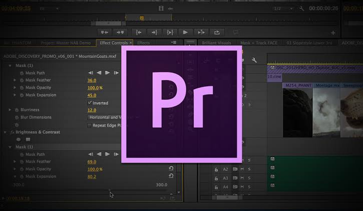 Download Adobe Premiere Mod APK